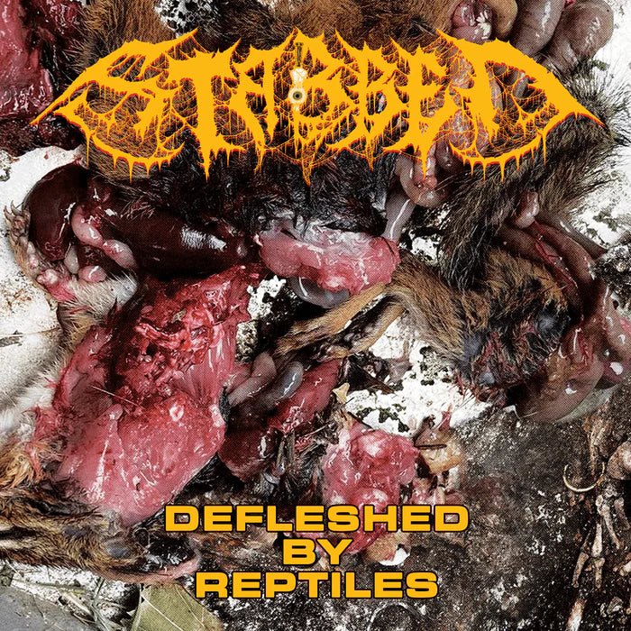 Stabbed "Defleshed by Reptiles" Cassette