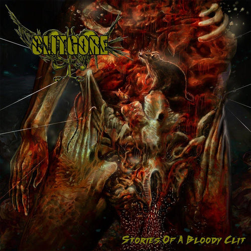 Buy – Clitgore "Stories Of A Bloody Clit" CD – Metal Band & Music Merch – Massacre Merch