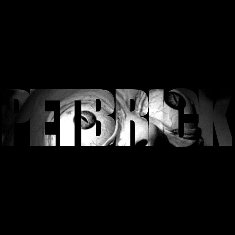 Petbrick "Petbrick" 12" Vinyl